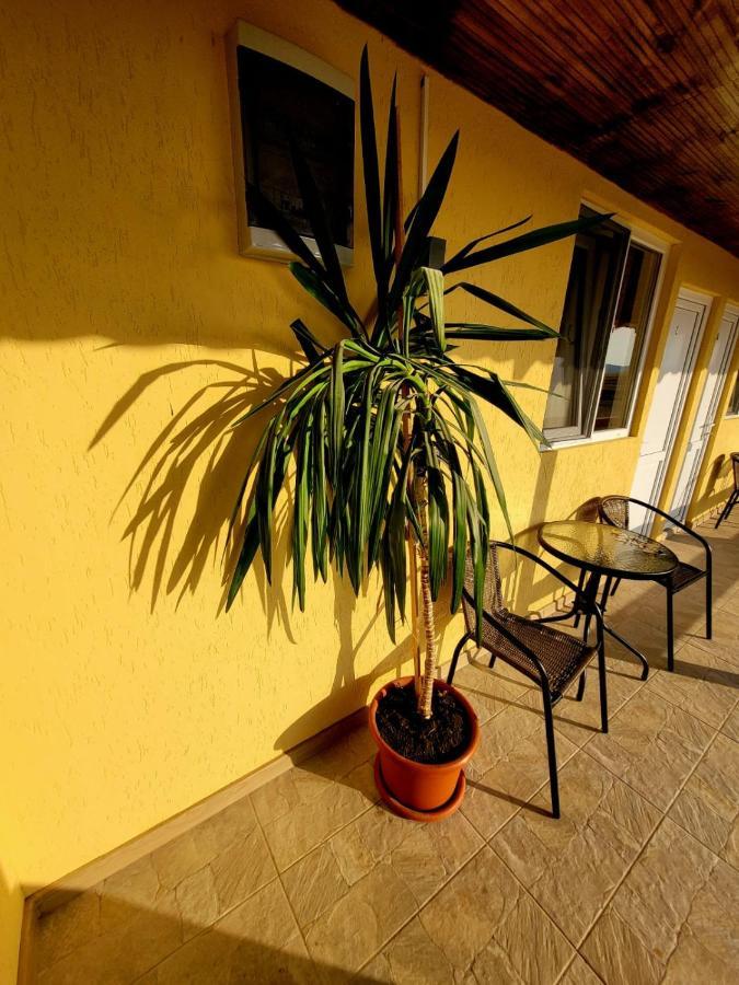 Cabana Varad Coronini Moldova Veche Bagian luar foto